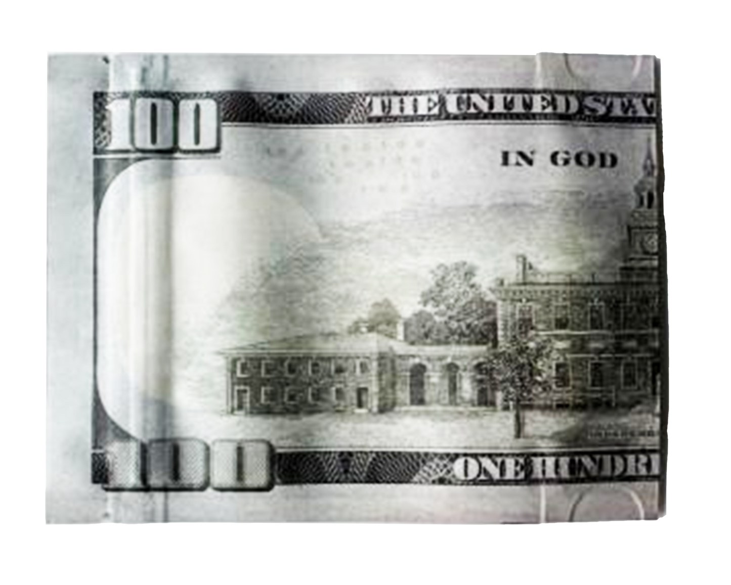 3.5g Money Shaped Mylar Bag - Hundred Dollar Bill Back (50 Count)