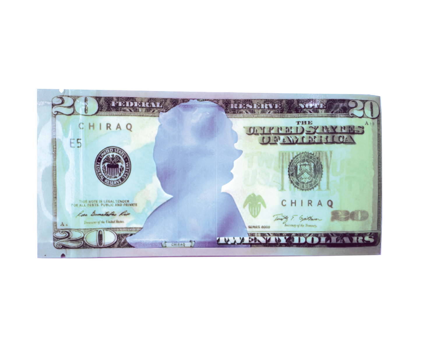 3.5g Money Shaped Mylar Bag - Twenty Dollar Bill Who (50 Count)