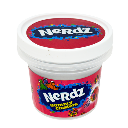 12 Pack -  Ice Cream Pint Style Plastic Storage Containers with Lids - Nerdz
