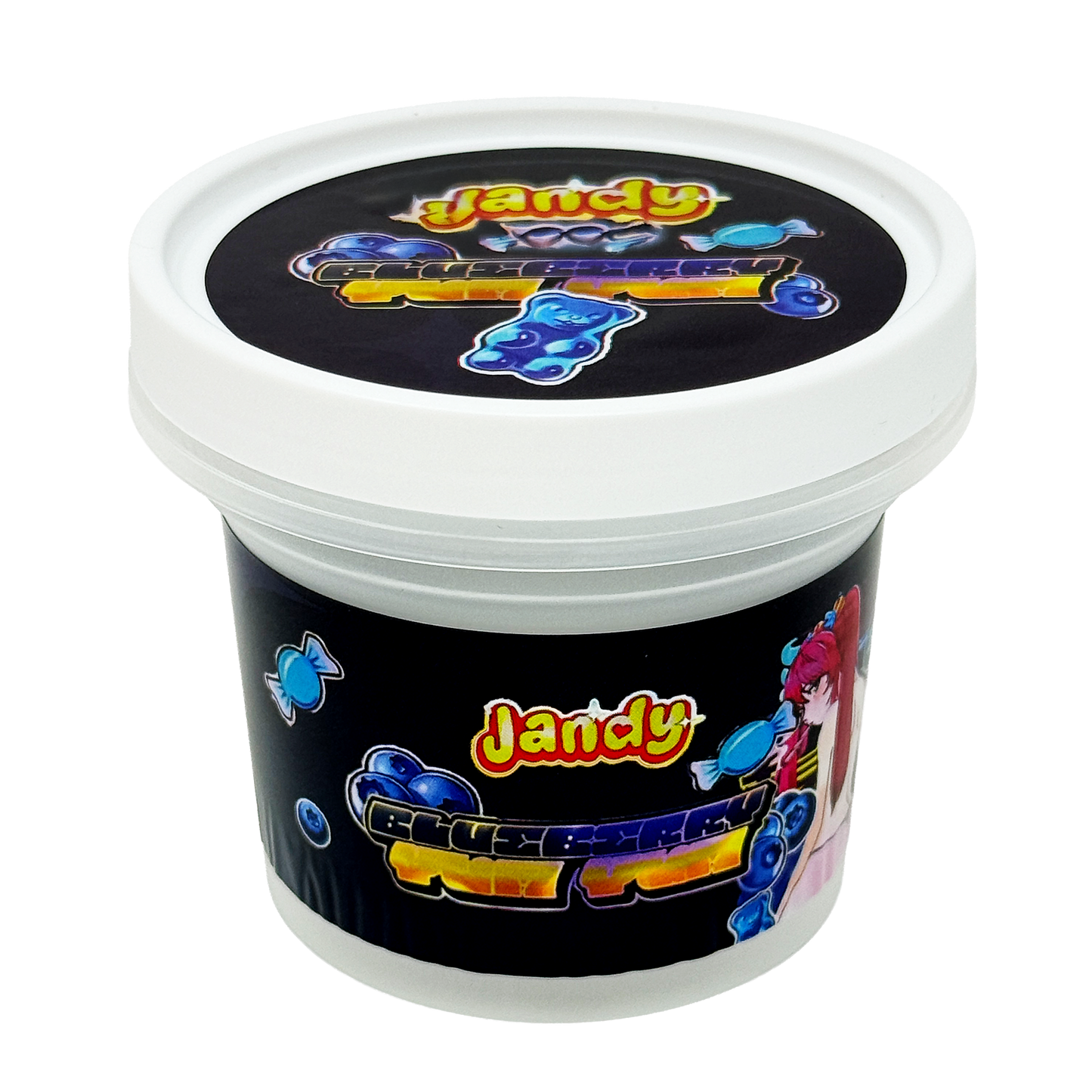 12 Pack -  Ice Cream Pint Style Plastic Storage Containers with Lids - Blueberry Yum Yum