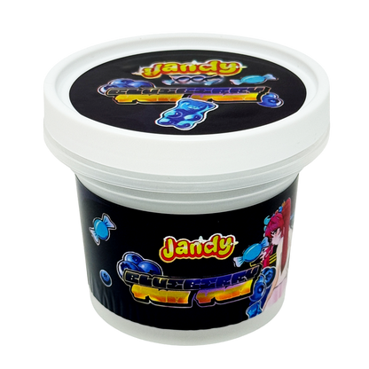 12 Pack -  Ice Cream Pint Style Plastic Storage Containers with Lids - Blueberry Yum Yum