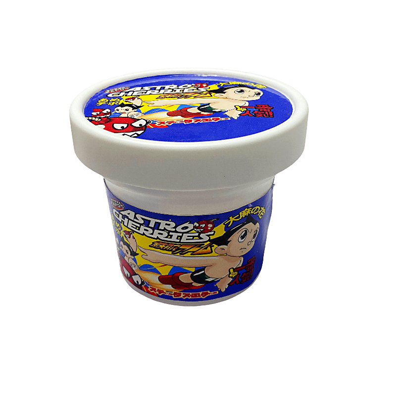 12 Pack -  Ice Cream Pint Style Plastic Storage Containers with Lids - Astro Cherries Kandy Depo