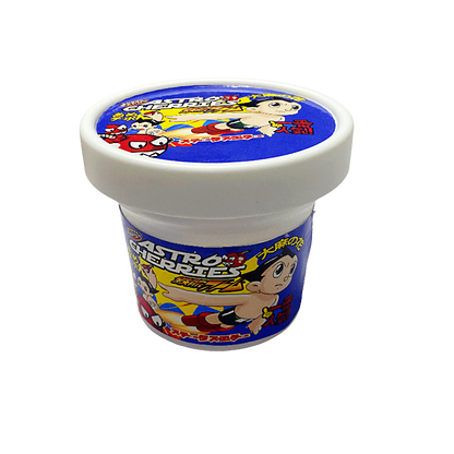 12 Pack -  Ice Cream Pint Style Plastic Storage Containers with Lids - Astro Cherries Kandy Depo