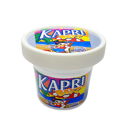 12 Pack -  Ice Cream Pint Style Plastic Storage Containers with Lids - Kapri Boyz High Tolerance