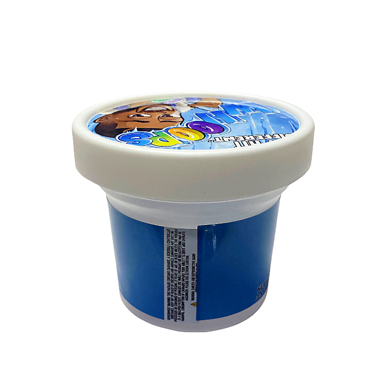 12 Pack -  Ice Cream Pint Style Plastic Storage Containers with Lids - Whoops