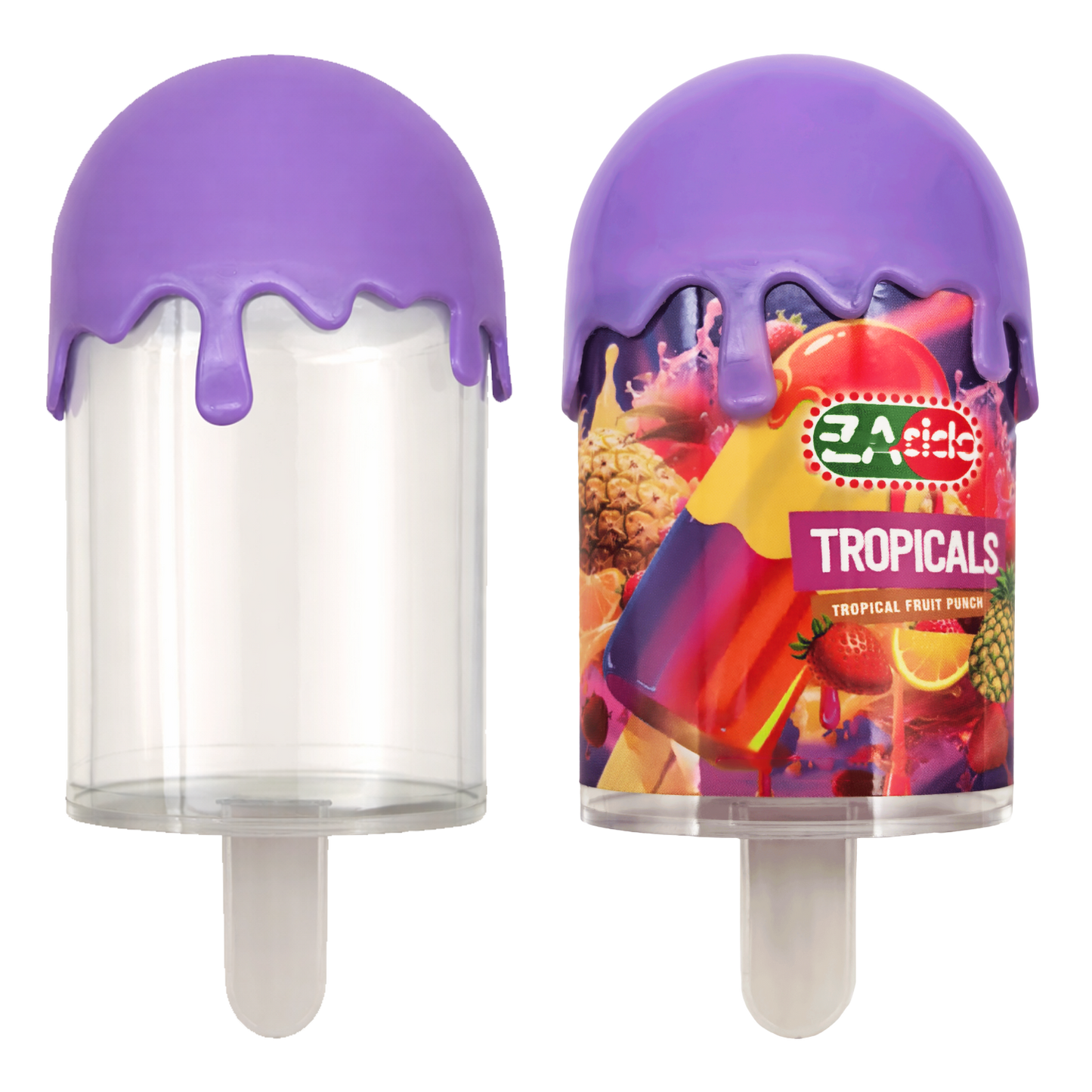 12 Pack - Popsicle Style Plastic Storage Containers with Decorative Wrap Labels - Styles