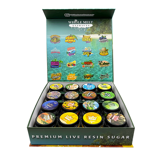 Whole Melt Tropical Empty 1oz Glass Wax Jars Variety Pack – 16 Assorted Designs with Display Box