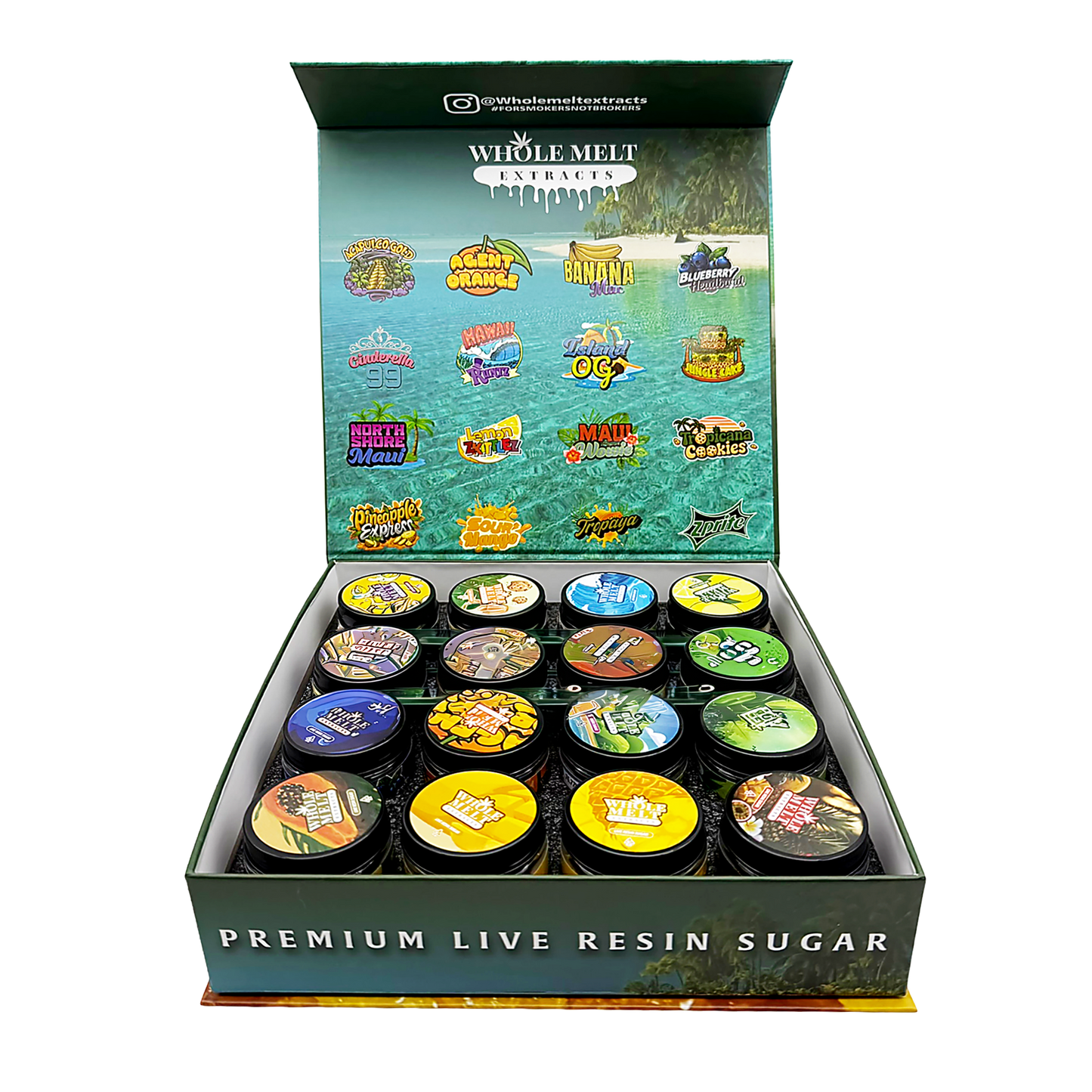 Whole Melt Tropical Empty 1oz Glass Wax Jars Variety Pack – 16 Assorted Designs with Display Box
