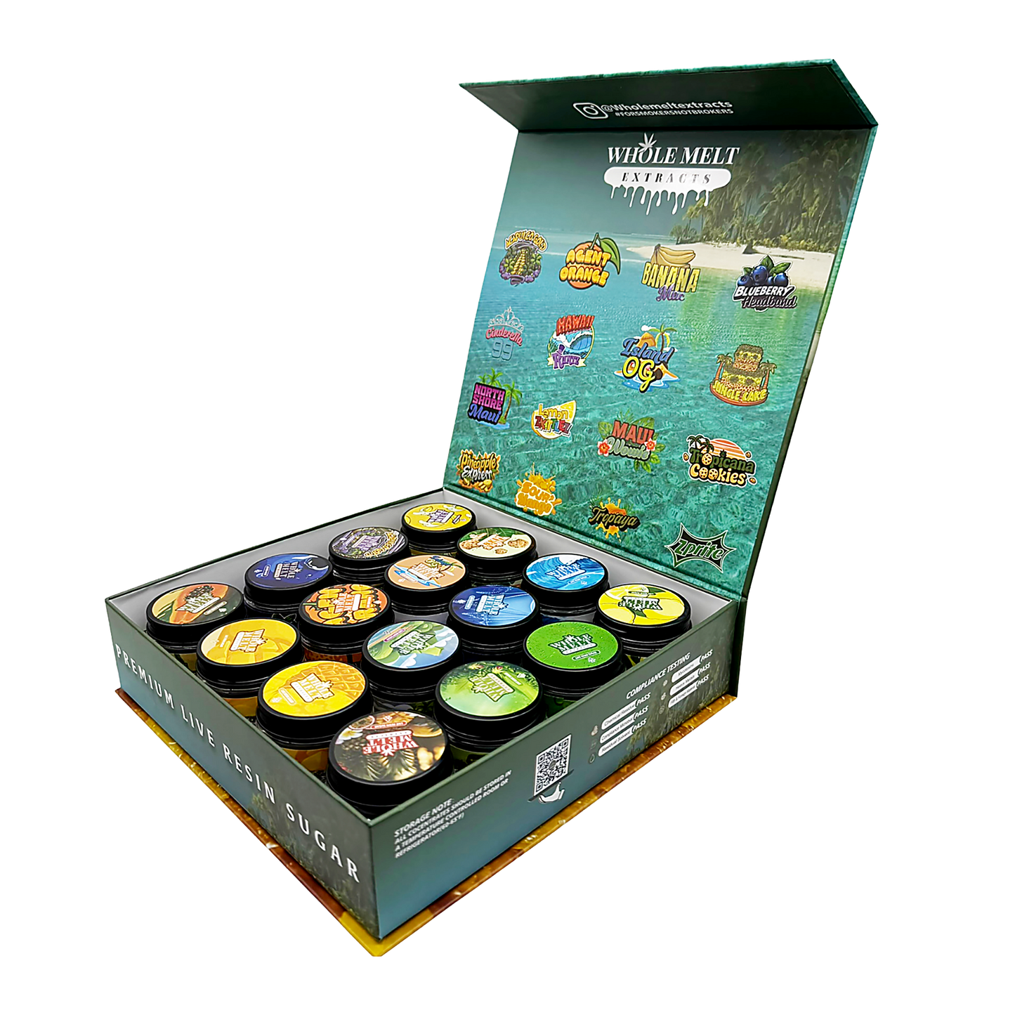 Whole Melt Tropical Empty 1oz Glass Wax Jars Variety Pack – 16 Assorted Designs with Display Box
