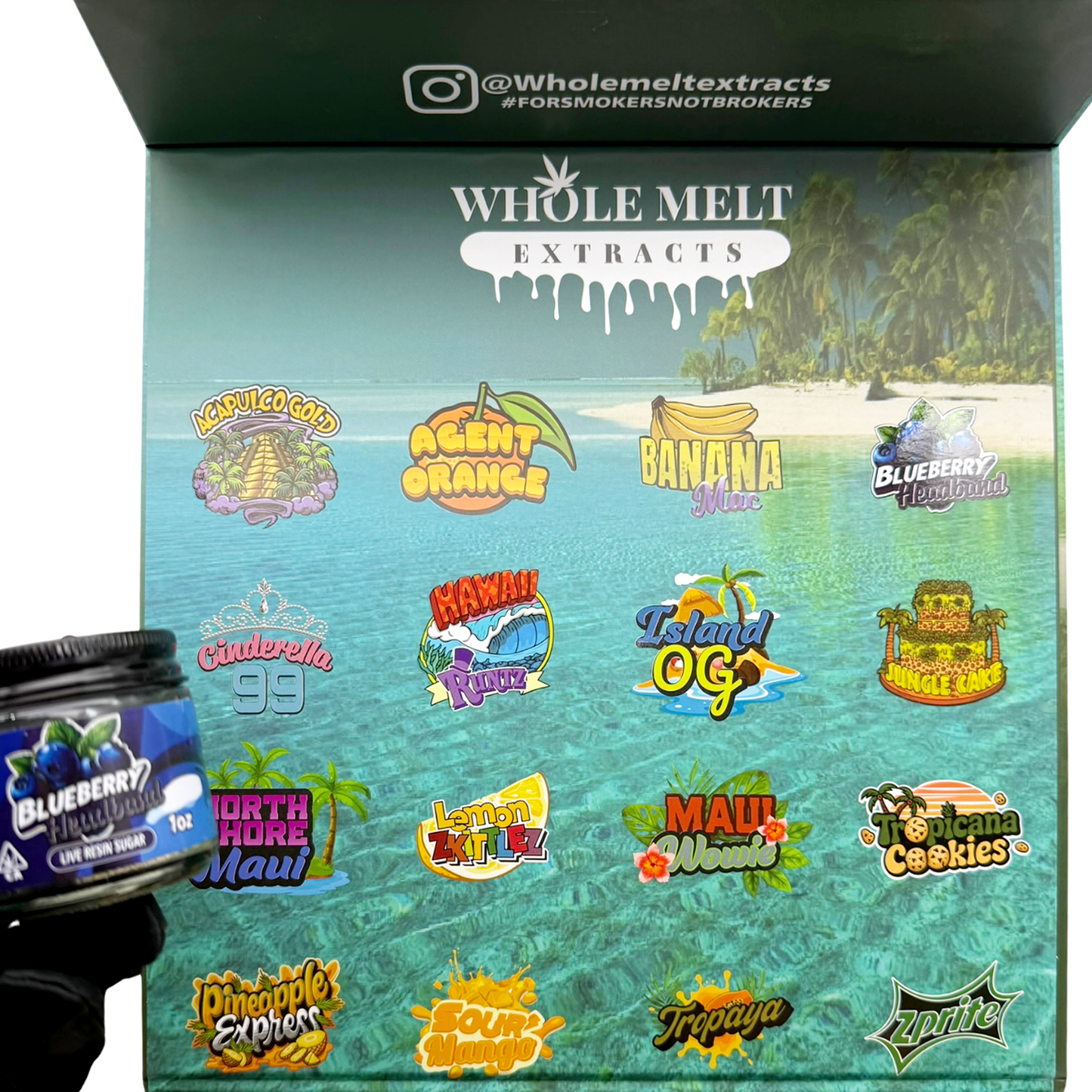 Whole Melt Tropical Empty 1oz Glass Wax Jars Variety Pack – 16 Assorted Designs with Display Box