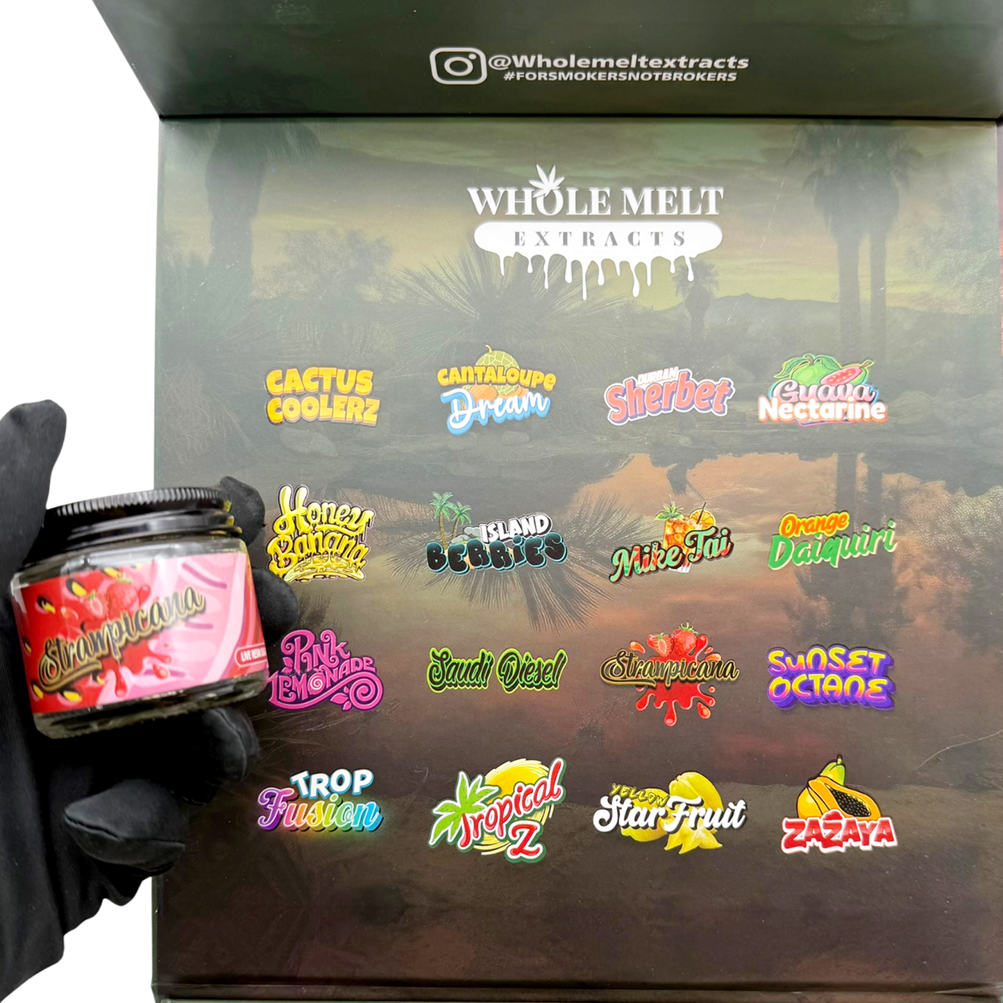 Whole Melt Cookiez Empty 1oz Glass Wax Jars Variety Pack – 16 Assorted Designs with Display Box